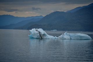 Filename=DSC_4542.jpg
Filesize=7408KiB
Dimensions=7360x4912
Date added=Sep 15, 2019 DSC_4542.jpg