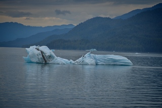 Filename=DSC_4543.jpg
Filesize=7230KiB
Dimensions=7360x4912
Date added=Sep 15, 2019 DSC_4543.jpg