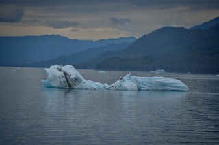 Filename=DSC_4544.jpg
Filesize=7245KiB
Dimensions=7360x4912
Date added=Sep 15, 2019 DSC_4544.jpg