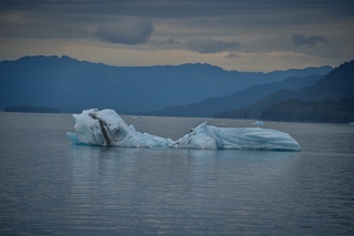 Filename=DSC_4547.jpg
Filesize=6199KiB
Dimensions=7360x4912
Date added=Sep 15, 2019 DSC_4547.jpg