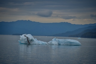 Filename=DSC_4548.jpg
Filesize=5374KiB
Dimensions=7360x4912
Date added=Sep 15, 2019 DSC_4548.jpg