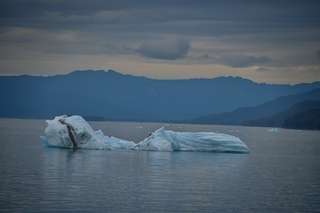 Filename=DSC_4549.jpg
Filesize=6031KiB
Dimensions=7360x4912
Date added=Sep 15, 2019 DSC_4549.jpg