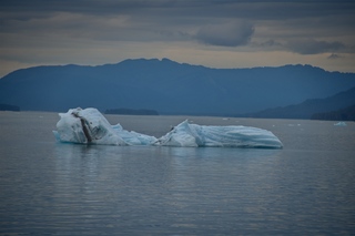 Filename=DSC_4550.jpg
Filesize=5931KiB
Dimensions=7360x4912
Date added=Sep 15, 2019 DSC_4550.jpg