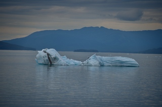 Filename=DSC_4551.jpg
Filesize=5747KiB
Dimensions=7360x4912
Date added=Sep 15, 2019 DSC_4551.jpg