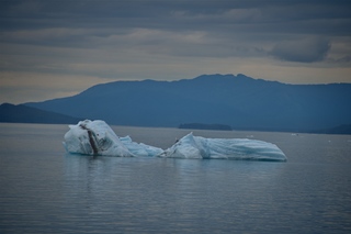 Filename=DSC_4552.jpg
Filesize=5256KiB
Dimensions=7360x4912
Date added=Sep 15, 2019 DSC_4552.jpg