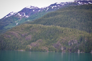 Filename=DSC_4553.jpg
Filesize=14117KiB
Dimensions=7360x4912
Date added=Sep 15, 2019 DSC_4553.jpg