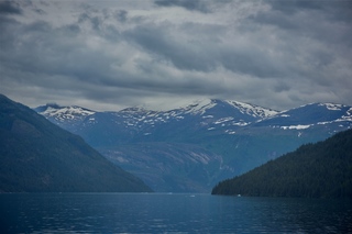 Filename=DSC_4557.jpg
Filesize=7356KiB
Dimensions=7360x4912
Date added=Sep 15, 2019 DSC_4557.jpg