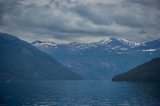 Filename=DSC_4558.jpg
Filesize=7347KiB
Dimensions=7360x4912
Date added=Sep 15, 2019 DSC_4558.jpg