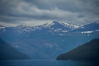 Filename=DSC_4559.jpg
Filesize=7127KiB
Dimensions=7360x4912
Date added=Sep 15, 2019 DSC_4559.jpg