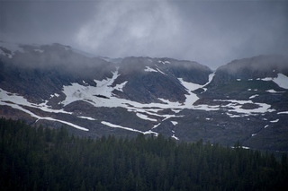 Filename=DSC_4563.jpg
Filesize=8573KiB
Dimensions=7360x4912
Date added=Sep 15, 2019 DSC_4563.jpg