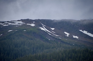 Filename=DSC_4565.jpg
Filesize=10470KiB
Dimensions=7360x4912
Date added=Sep 15, 2019 DSC_4565.jpg