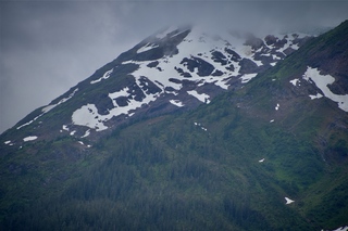 Filename=DSC_4570.jpg
Filesize=10203KiB
Dimensions=7360x4912
Date added=Sep 15, 2019 DSC_4570.jpg