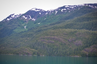 Filename=DSC_4572.jpg
Filesize=12532KiB
Dimensions=7360x4912
Date added=Sep 15, 2019 DSC_4572.jpg