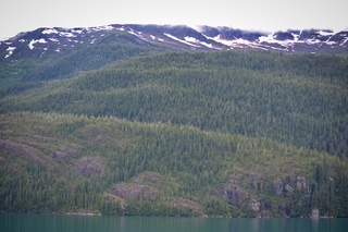 Filename=DSC_4573.jpg
Filesize=14262KiB
Dimensions=7360x4912
Date added=Sep 15, 2019 DSC_4573.jpg