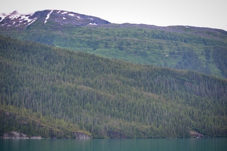 Filename=DSC_4575.jpg
Filesize=13411KiB
Dimensions=7360x4912
Date added=Sep 15, 2019 DSC_4575.jpg