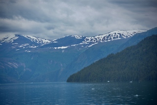 Filename=DSC_4577.jpg
Filesize=7779KiB
Dimensions=7360x4912
Date added=Sep 15, 2019 DSC_4577.jpg