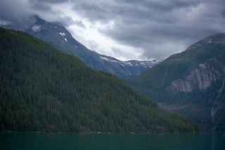 Filename=DSC_4580.jpg
Filesize=10610KiB
Dimensions=7360x4912
Date added=Sep 15, 2019 DSC_4580.jpg