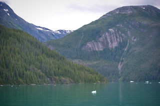 Filename=DSC_4582.jpg
Filesize=8664KiB
Dimensions=7360x4912
Date added=Sep 15, 2019 DSC_4582.jpg