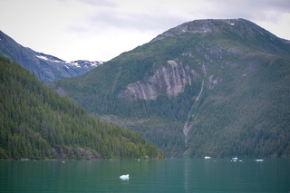 Filename=DSC_4584.jpg
Filesize=10073KiB
Dimensions=7360x4912
Date added=Sep 15, 2019 DSC_4584.jpg