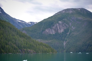 Filename=DSC_4587.jpg
Filesize=10267KiB
Dimensions=7360x4912
Date added=Sep 15, 2019 DSC_4587.jpg