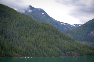 Filename=DSC_4589.jpg
Filesize=11281KiB
Dimensions=7360x4912
Date added=Sep 15, 2019 DSC_4589.jpg