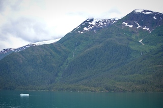 Filename=DSC_4593.jpg
Filesize=8910KiB
Dimensions=7360x4912
Date added=Sep 15, 2019 DSC_4593.jpg