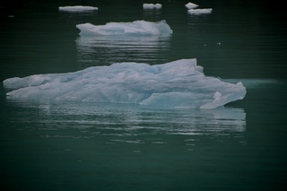 Filename=DSC_4596.jpg
Filesize=7197KiB
Dimensions=7360x4912
Date added=Sep 15, 2019 DSC_4596.jpg