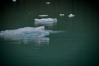 Filename=DSC_4597.jpg
Filesize=6011KiB
Dimensions=7360x4912
Date added=Sep 15, 2019 DSC_4597.jpg