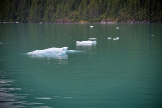 Filename=DSC_4598.jpg
Filesize=8728KiB
Dimensions=7360x4912
Date added=Sep 15, 2019 DSC_4598.jpg