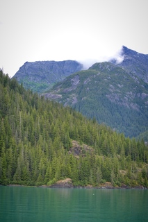 Filename=DSC_4602.jpg
Filesize=9825KiB
Dimensions=4912x7360
Date added=Sep 15, 2019 DSC_4602.jpg