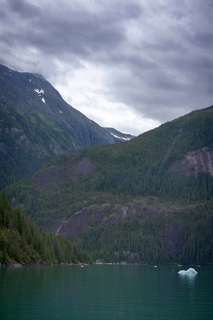 Filename=DSC_4603.jpg
Filesize=8284KiB
Dimensions=4912x7360
Date added=Sep 15, 2019 DSC_4603.jpg