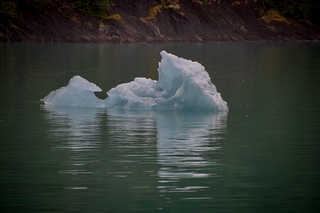 Filename=DSC_4610.jpg
Filesize=8618KiB
Dimensions=7360x4912
Date added=Sep 15, 2019 DSC_4610.jpg