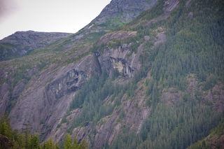 Filename=DSC_4617.jpg
Filesize=11489KiB
Dimensions=7360x4912
Date added=Sep 15, 2019 DSC_4617.jpg