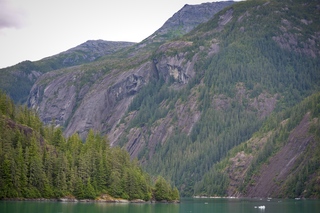 Filename=DSC_4620.jpg
Filesize=13024KiB
Dimensions=7360x4912
Date added=Sep 15, 2019 DSC_4620.jpg