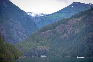 Filename=DSC_4633.jpg
Filesize=14096KiB
Dimensions=7360x4912
Date added=Sep 15, 2019 DSC_4633.jpg