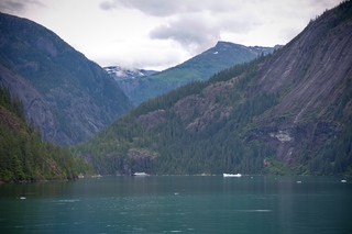 Filename=DSC_4634.jpg
Filesize=8081KiB
Dimensions=7360x4912
Date added=Sep 15, 2019 DSC_4634.jpg