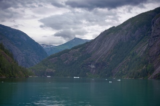 Filename=DSC_4635.jpg
Filesize=7780KiB
Dimensions=7360x4912
Date added=Sep 15, 2019 DSC_4635.jpg