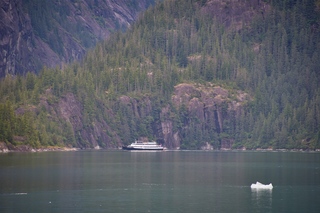 Filename=DSC_4636.jpg
Filesize=20240KiB
Dimensions=7360x4912
Date added=Sep 15, 2019 DSC_4636.jpg