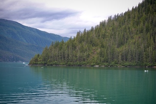 Filename=DSC_4638.jpg
Filesize=9428KiB
Dimensions=7360x4912
Date added=Sep 15, 2019 DSC_4638.jpg