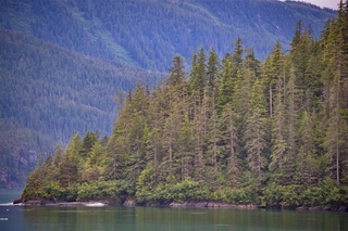 Filename=DSC_4640.jpg
Filesize=23276KiB
Dimensions=7360x4912
Date added=Sep 15, 2019 DSC_4640.jpg