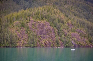 Filename=DSC_4641.jpg
Filesize=13436KiB
Dimensions=7360x4912
Date added=Sep 15, 2019 DSC_4641.jpg