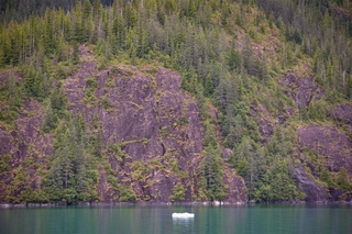 Filename=DSC_4646.jpg
Filesize=18702KiB
Dimensions=7360x4912
Date added=Sep 15, 2019 DSC_4646.jpg