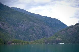 Filename=DSC_4649.jpg
Filesize=10057KiB
Dimensions=7360x4912
Date added=Sep 15, 2019 DSC_4649.jpg