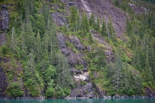 Filename=DSC_4650.jpg
Filesize=23091KiB
Dimensions=7360x4912
Date added=Sep 15, 2019 DSC_4650.jpg