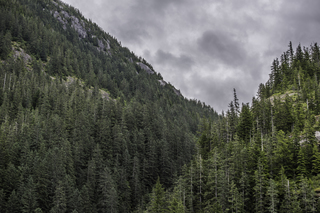 Filename=DSC_4655.jpg
Filesize=27814KiB
Dimensions=7360x4912
Date added=Sep 15, 2019 DSC_4655.jpg