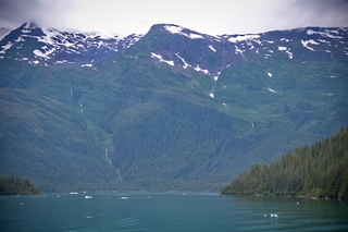 Filename=DSC_4666.jpg
Filesize=10087KiB
Dimensions=7360x4912
Date added=Sep 15, 2019 DSC_4666.jpg