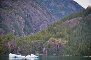 Filename=DSC_4674.jpg
Filesize=17224KiB
Dimensions=7360x4912
Date added=Sep 15, 2019 DSC_4674.jpg