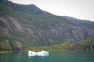 Filename=DSC_4704.jpg
Filesize=12693KiB
Dimensions=7360x4912
Date added=Sep 15, 2019 DSC_4704.jpg