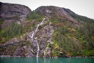 Filename=DSC_4706.jpg
Filesize=17351KiB
Dimensions=7360x4912
Date added=Sep 15, 2019 DSC_4706.jpg