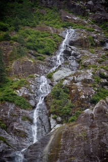 Filename=DSC_4730.jpg
Filesize=20491KiB
Dimensions=4912x7360
Date added=Sep 15, 2019 DSC_4730.jpg